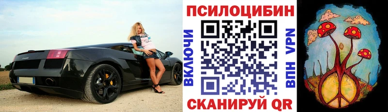 даркнет сайт  Судак  Галлюциногенные грибы мицелий 